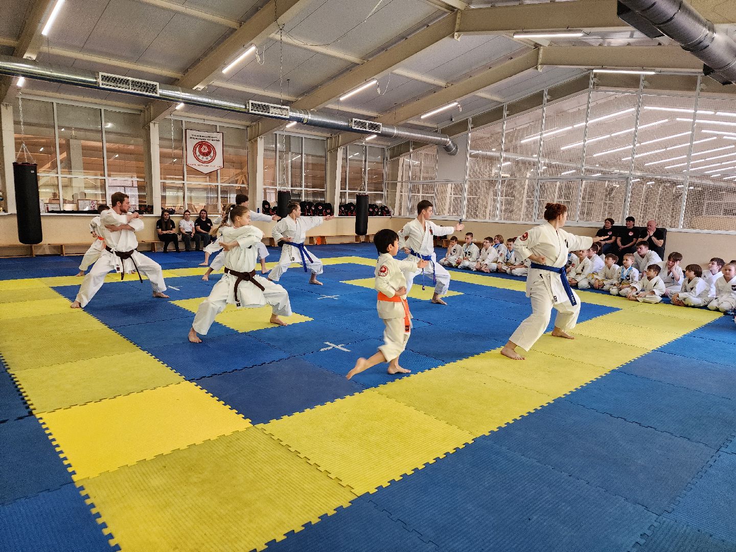 каратэ, кубок мира, орехово зуево,