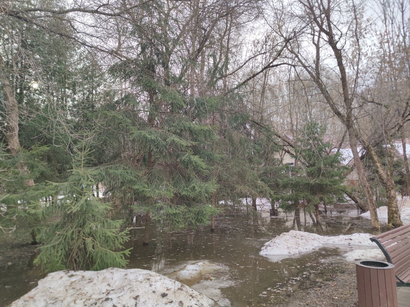 Парк, Утки, Птицы, Весна, Дубна, Благоустройство,