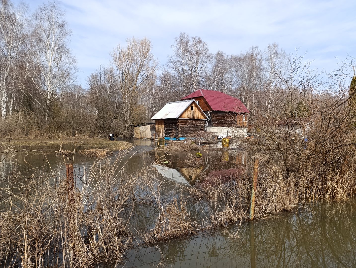 Раменское, Разлив реки Сетовки, Подтопление домов, Бобры,