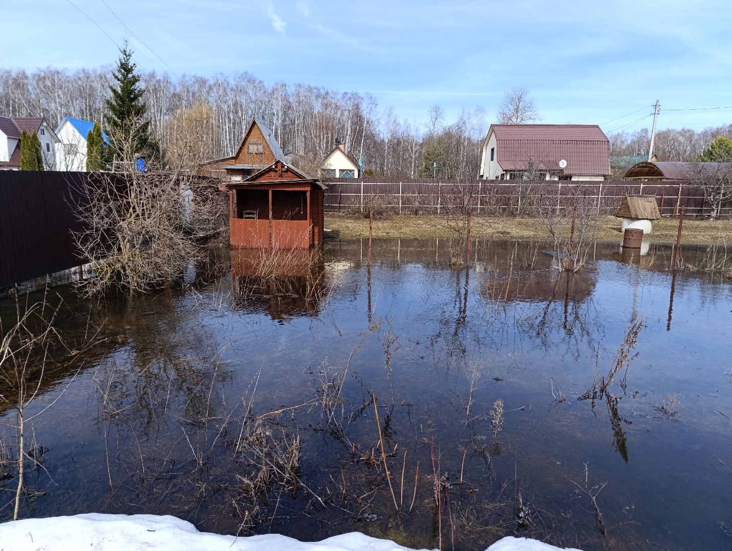 Раменское, Разлив реки Сетовки, Подтопление домов, Бобры,