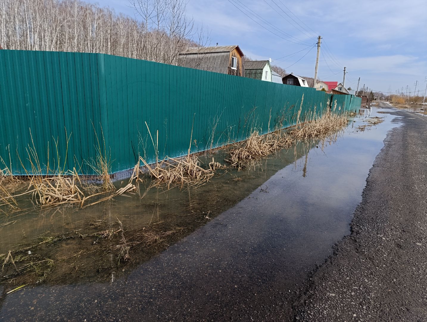 Раменское, Разлив реки Сетовки, Подтопление домов, Бобры,