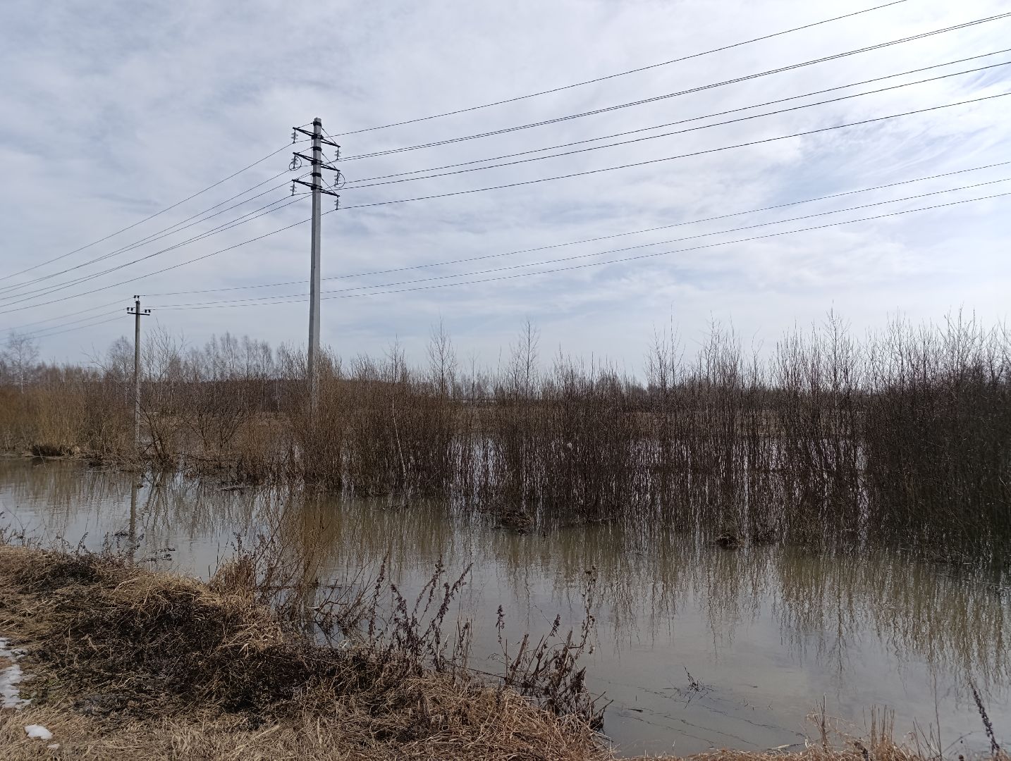 Раменское, Разлив реки Сетовки, Подтопление домов, Бобры,