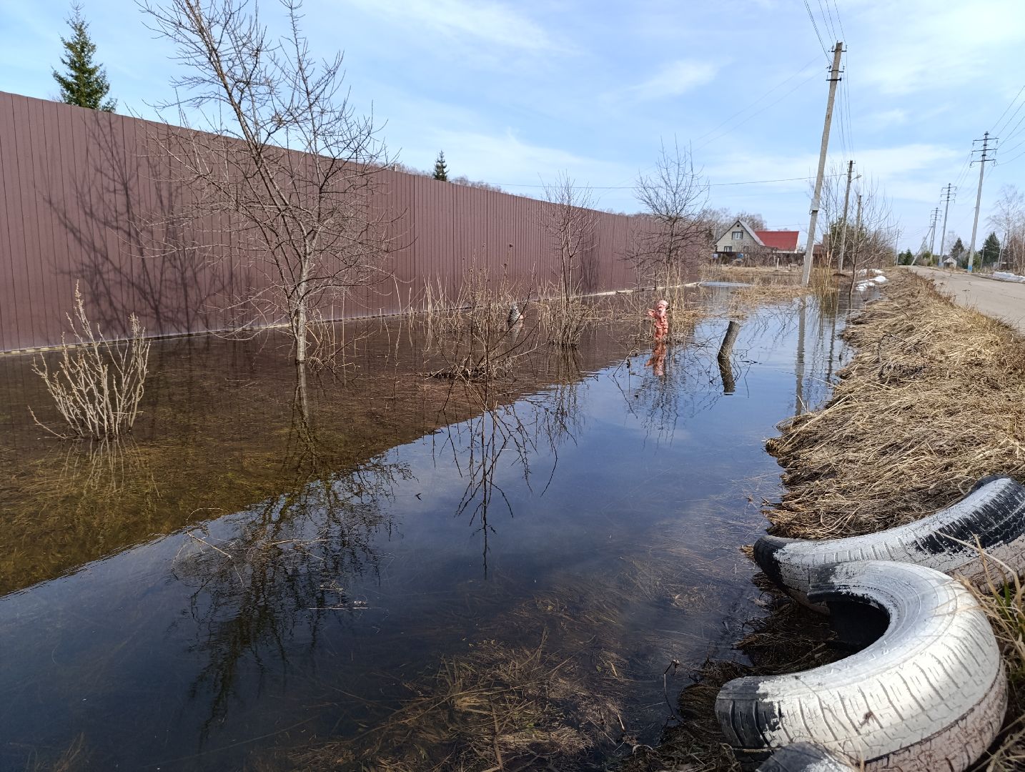 Раменское, Разлив реки Сетовки, Подтопление домов, Бобры,