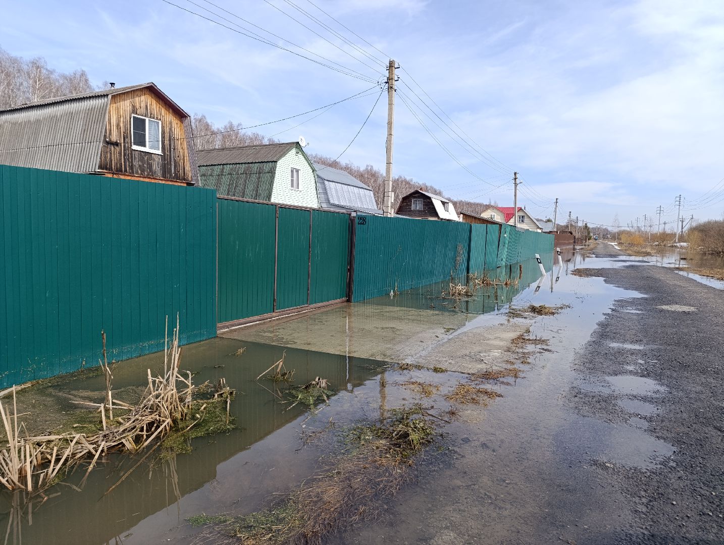 Раменское, Разлив реки Сетовки, Подтопление домов, Бобры,