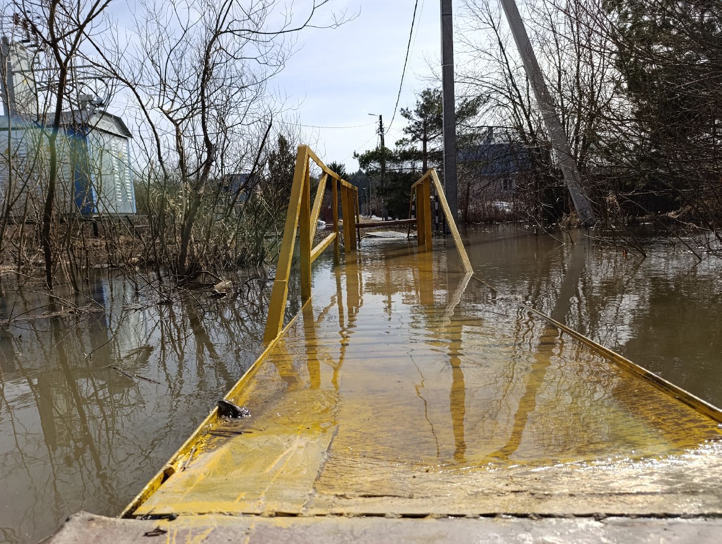 Раменское, Разлив реки Сетовки, Подтопление домов, Бобры,