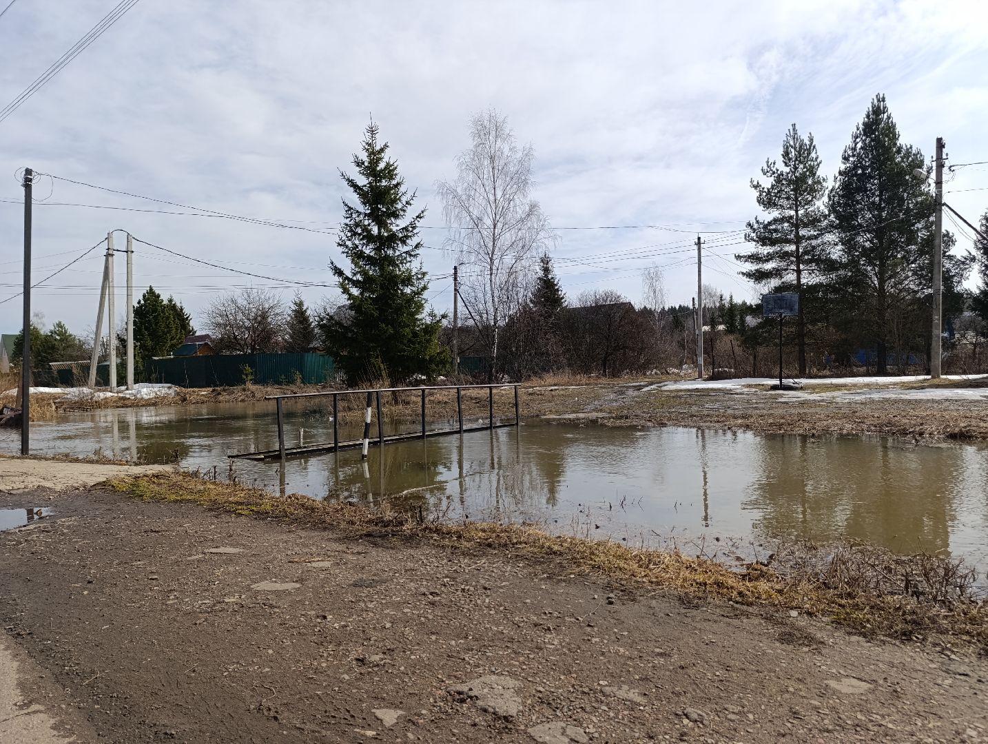 Раменское, Разлив реки Сетовки, Подтопление домов, Бобры,