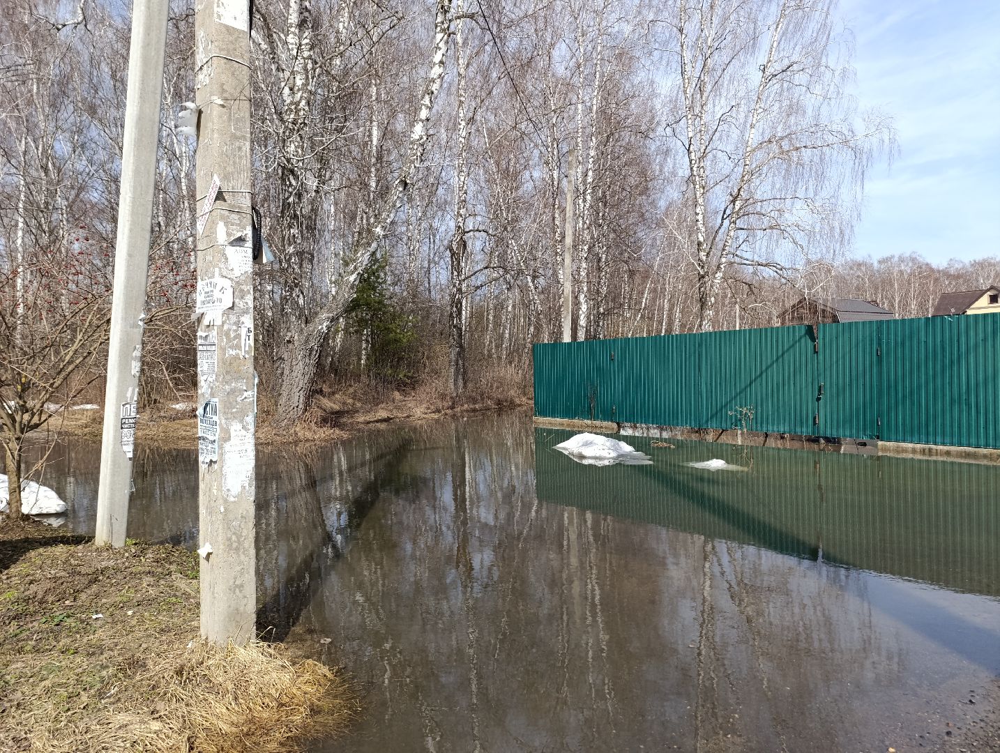 Раменское, Разлив реки Сетовки, Подтопление домов, Бобры,