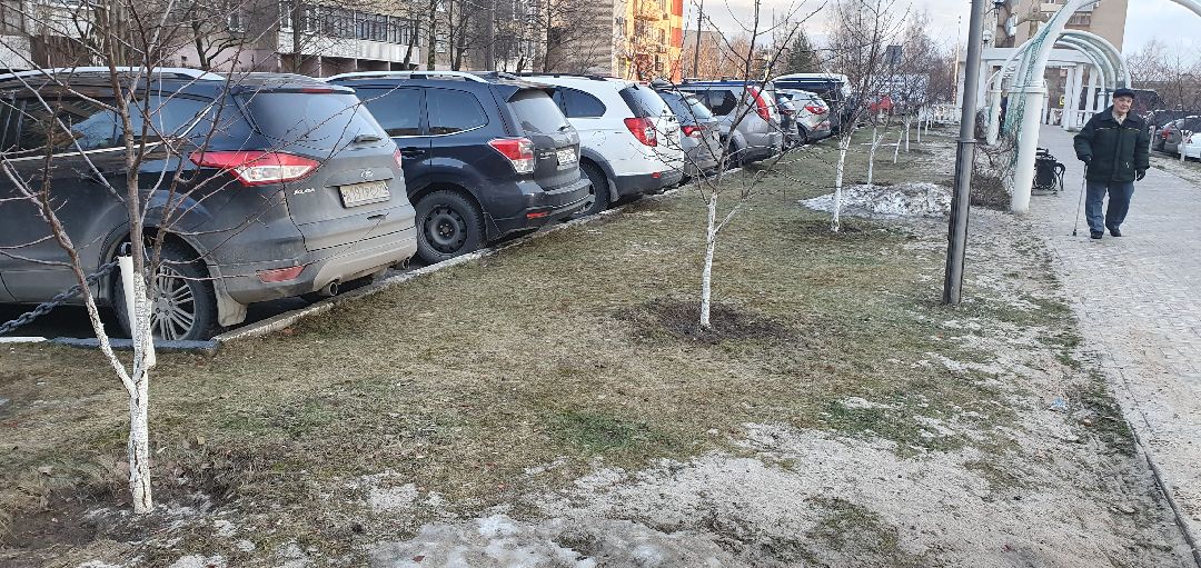 озеленение, Дзержинский, клумбы, высадка кустарников