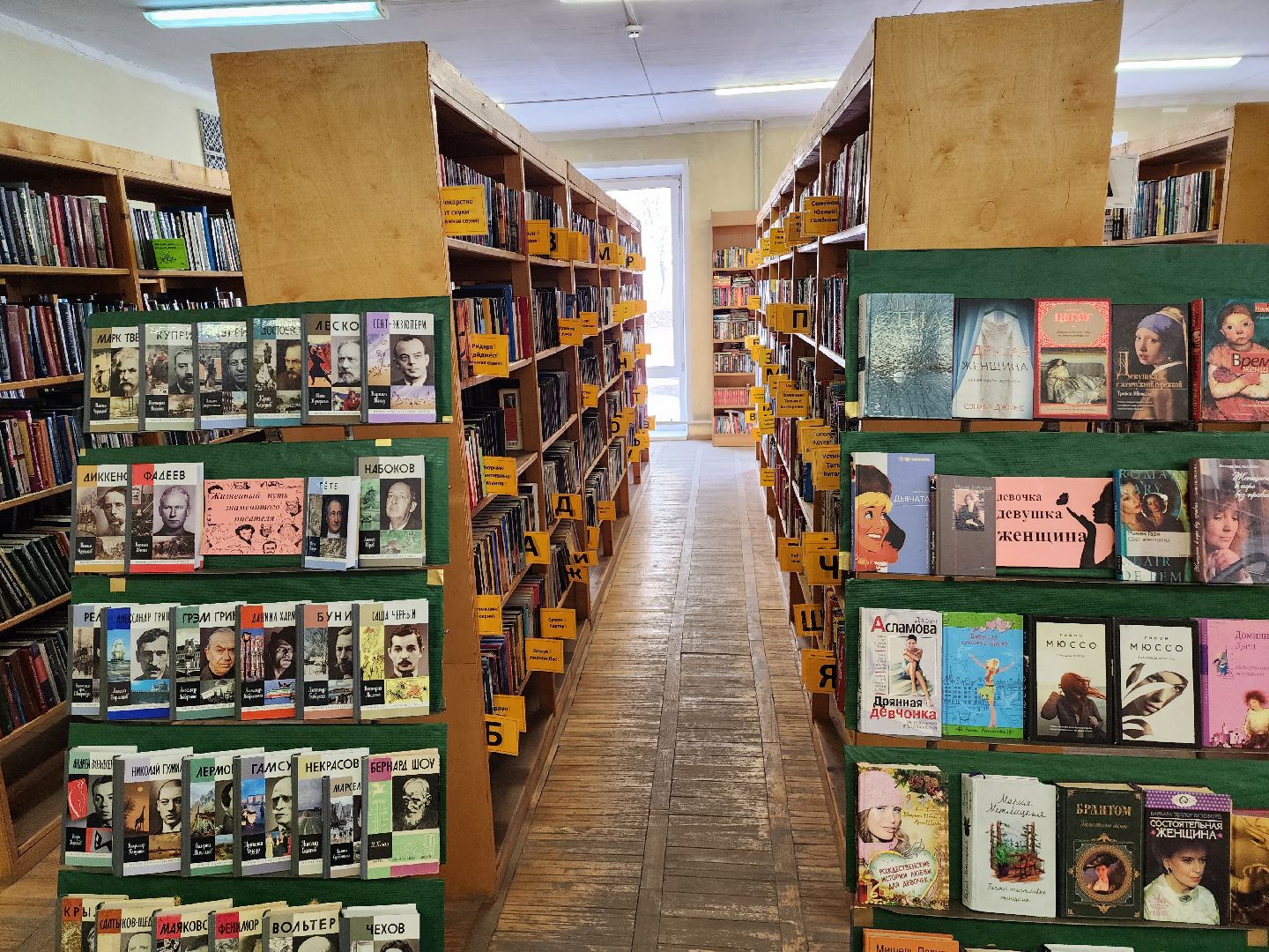 красноармейск, г.о. пушкинский, цифровой сервис, библиотека,