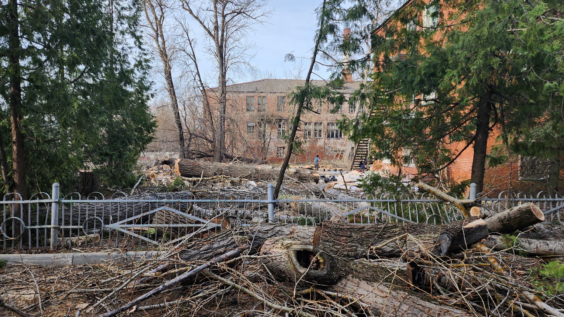 кашира, советский проспект, опиловка, аварийные деревья, тополя, дом общественных организаций, каширская грэс,