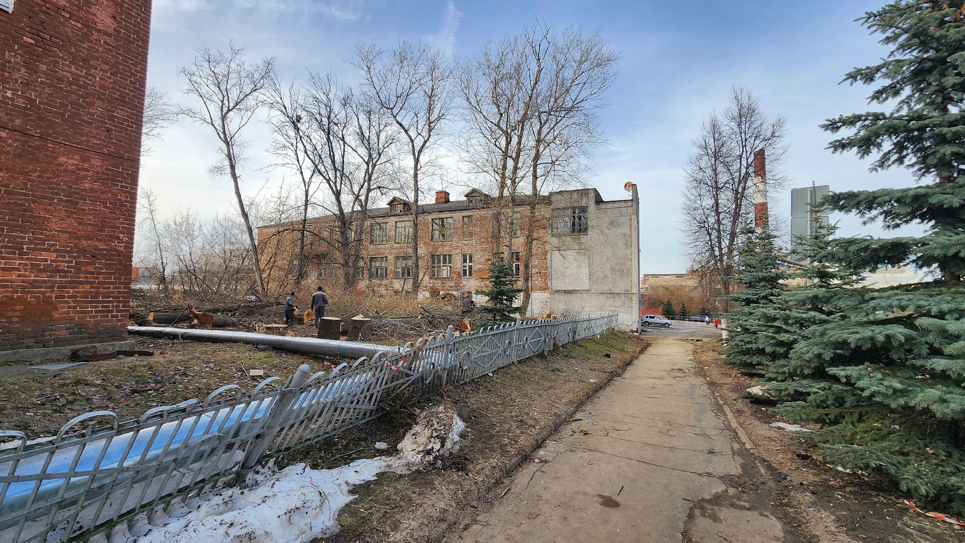 кашира, советский проспект, опиловка, аварийные деревья, тополя, дом общественных организаций, каширская грэс,