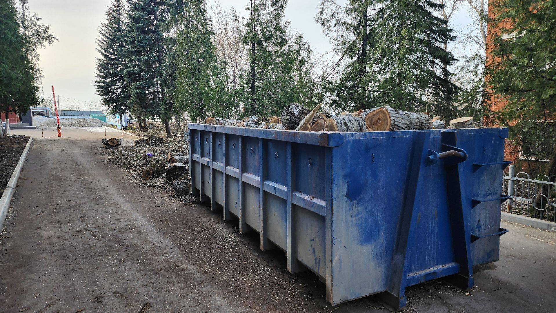 кашира, советский проспект, опиловка, аварийные деревья, тополя, дом общественных организаций, каширская грэс,