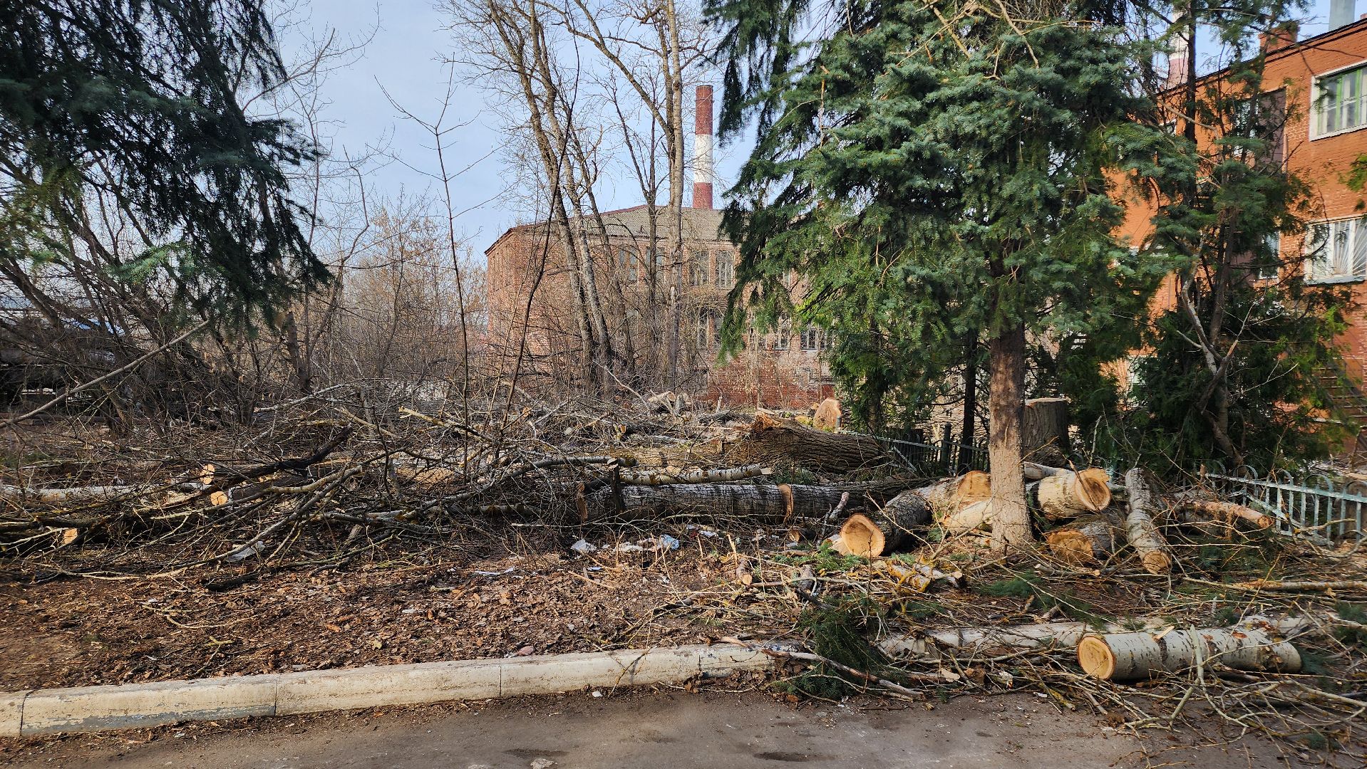 кашира, советский проспект, опиловка, аварийные деревья, тополя, дом общественных организаций, каширская грэс,