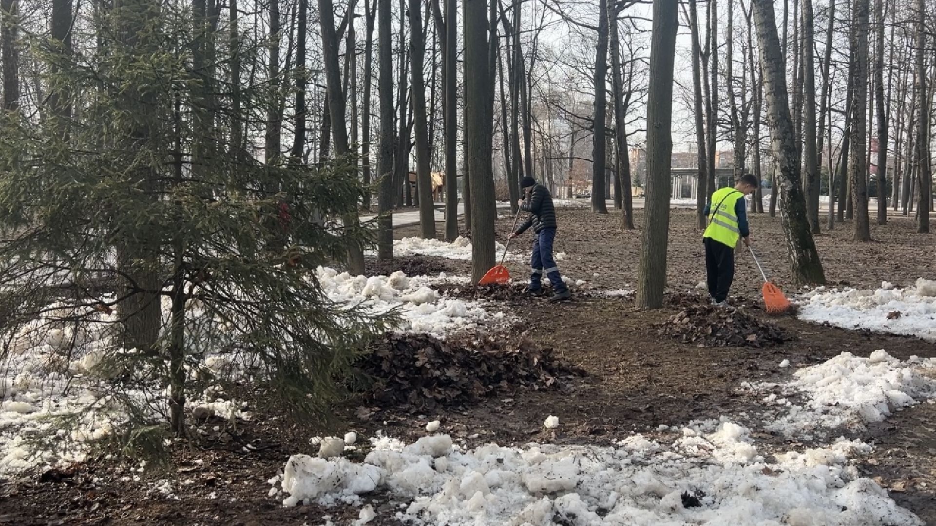 химки, благоустройство, парк, уборка города,