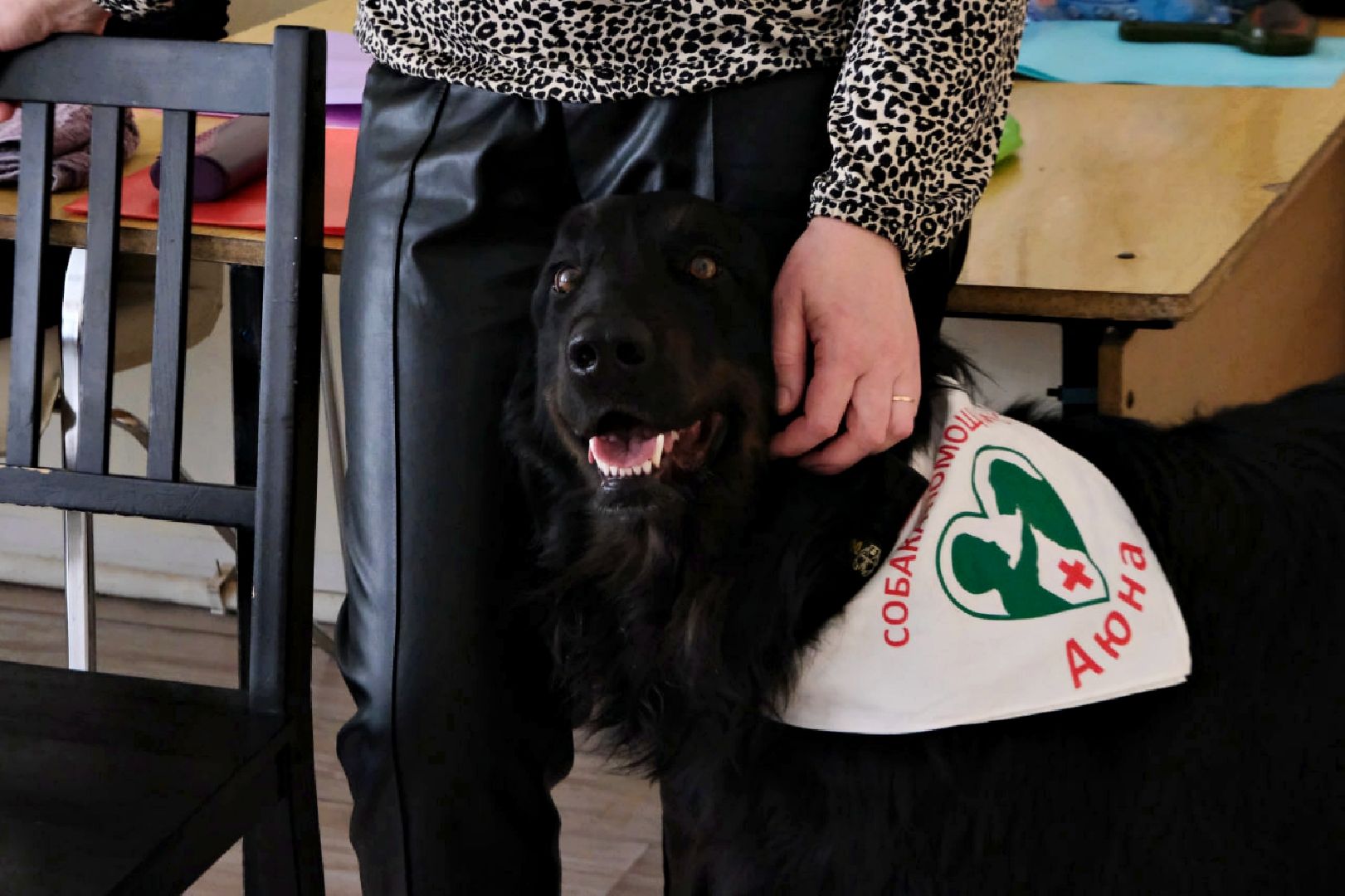 пущино, серпухов, аутизм, болезнь, дети, животные, собаки, лечение,