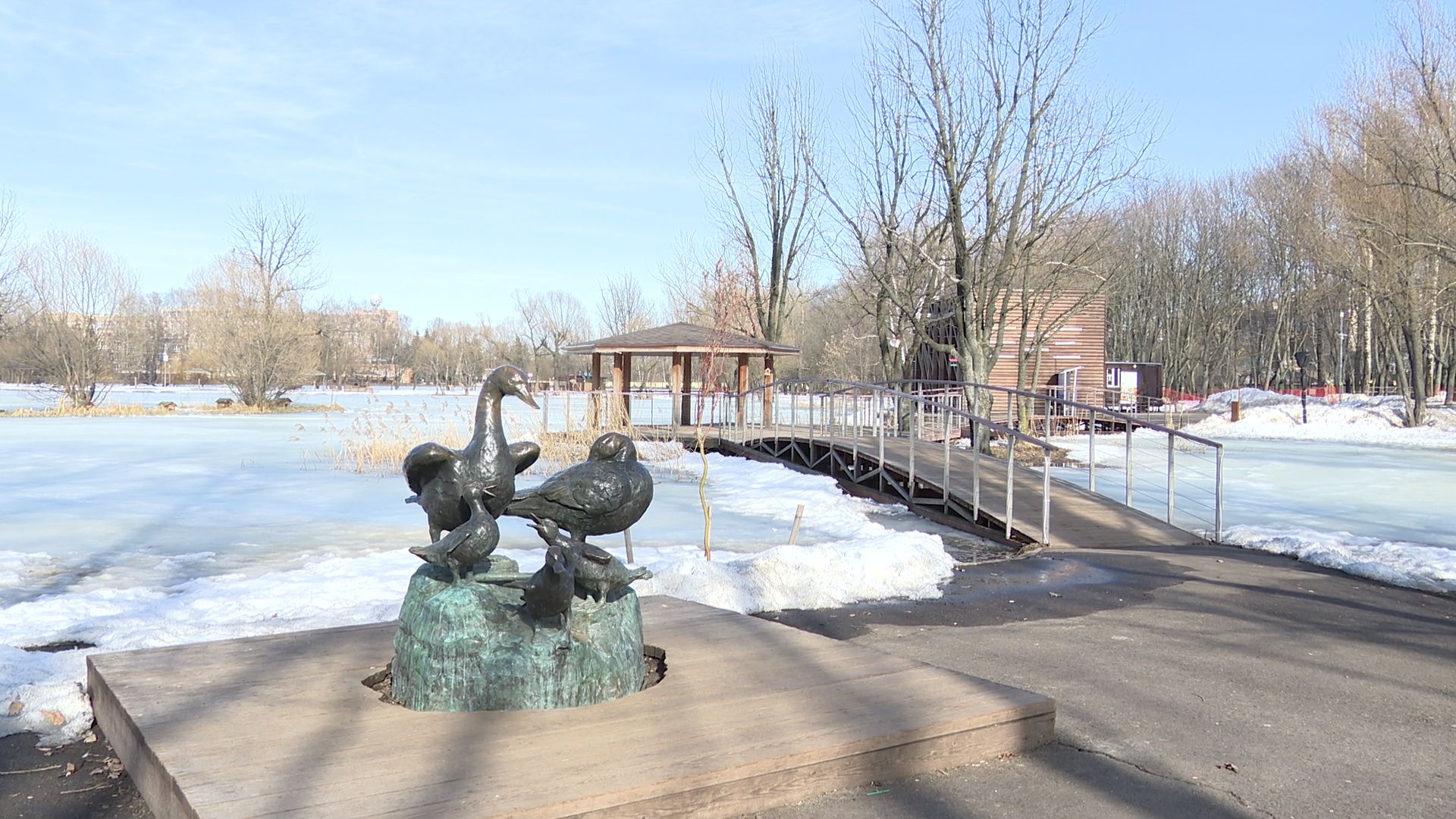 Реутов, парк, Фабричный пруд, огари, утки, кормление, возвращение пернатых,