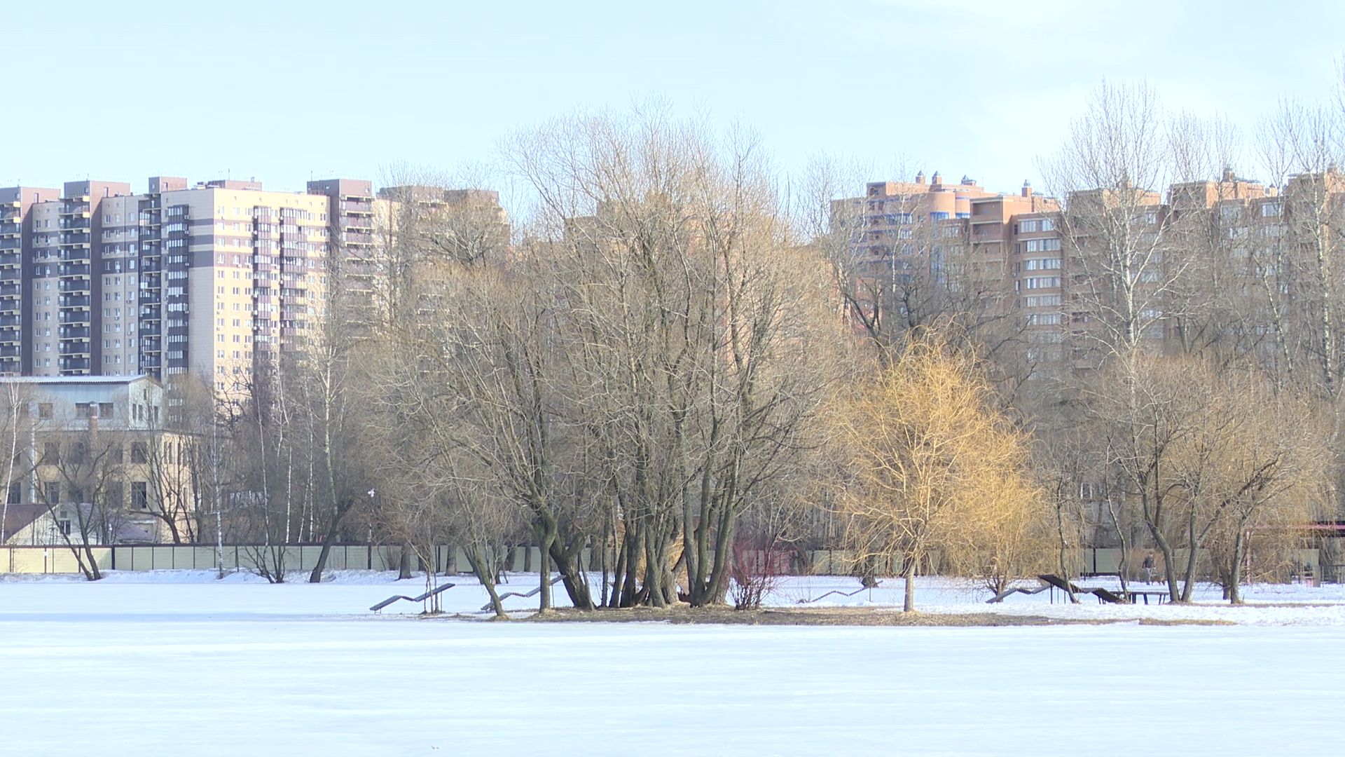 Реутов, парк, Фабричный пруд, огари, утки, кормление, возвращение пернатых,