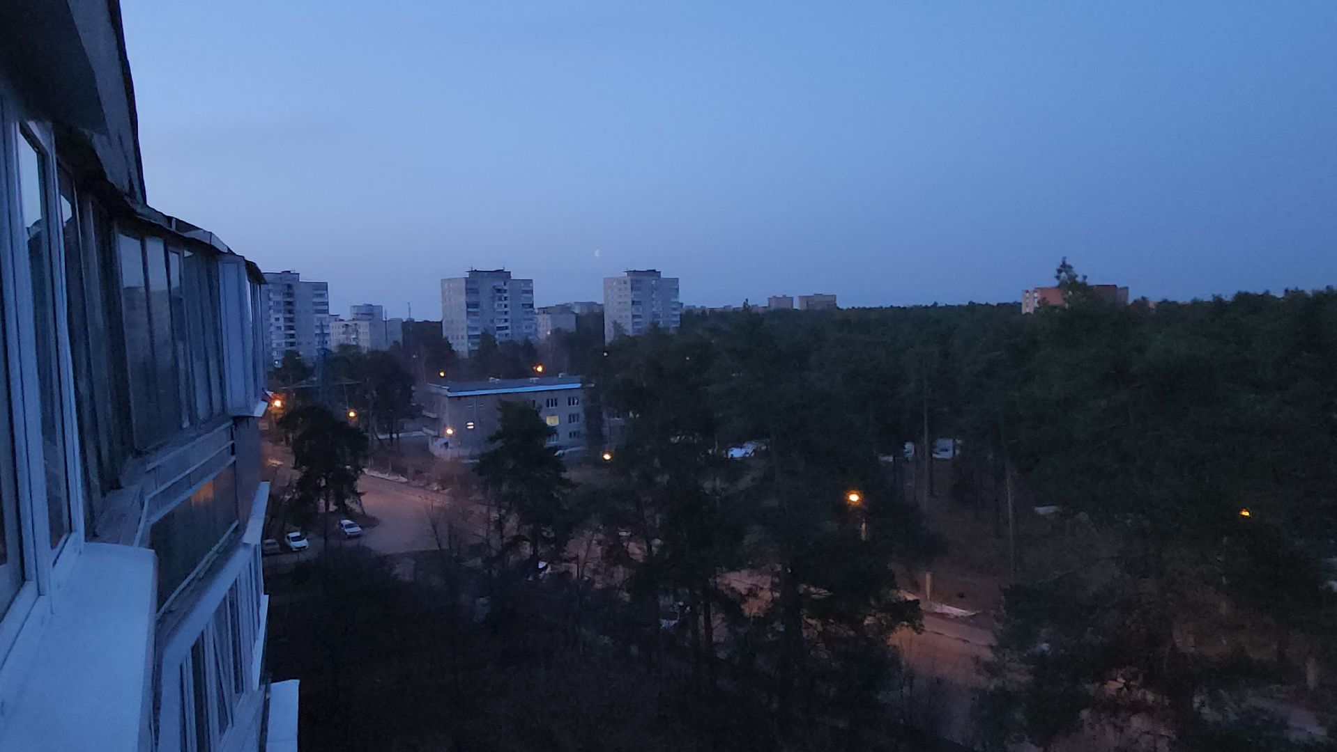 дрозд, дрозд певчий, природа, птицы, Николай Середа,