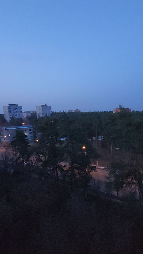 дрозд, дрозд певчий, природа, птицы, Николай Середа,