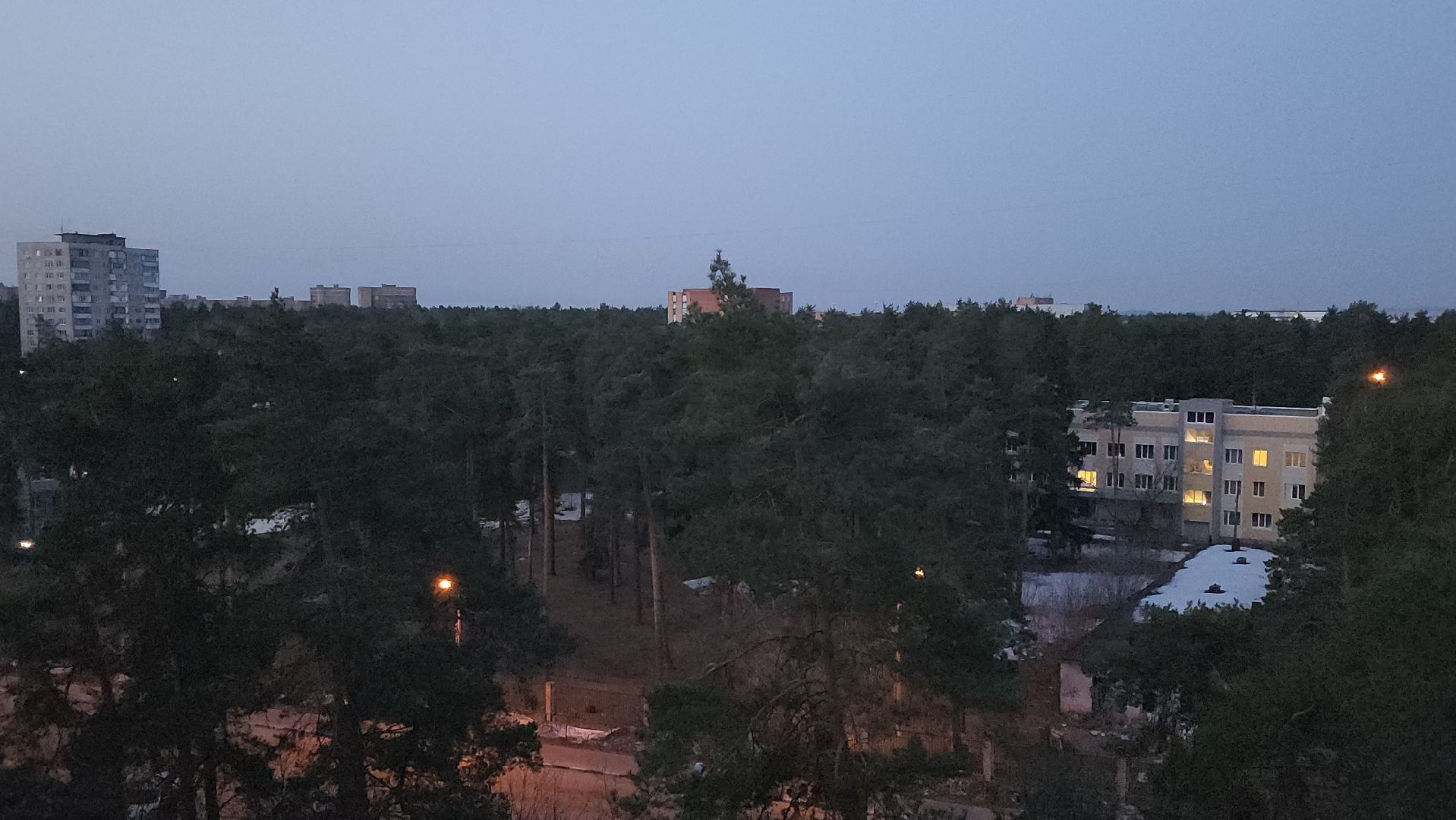 дрозд, дрозд певчий, природа, птицы, Николай Середа,