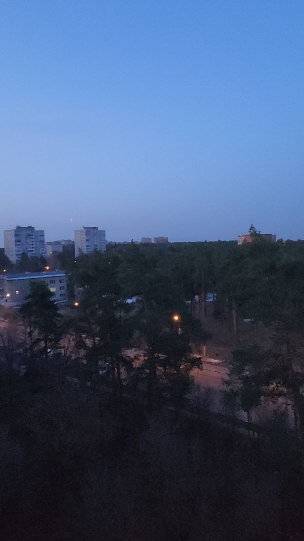 дрозд, дрозд певчий, природа, птицы, Николай Середа,