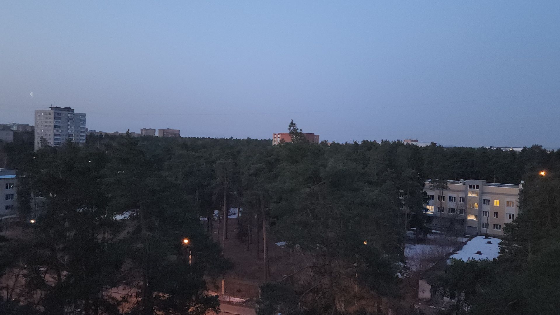 дрозд, дрозд певчий, природа, птицы, Николай Середа,