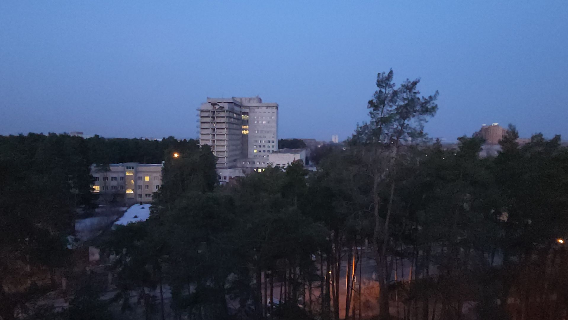 дрозд, дрозд певчий, природа, птицы, Николай Середа,