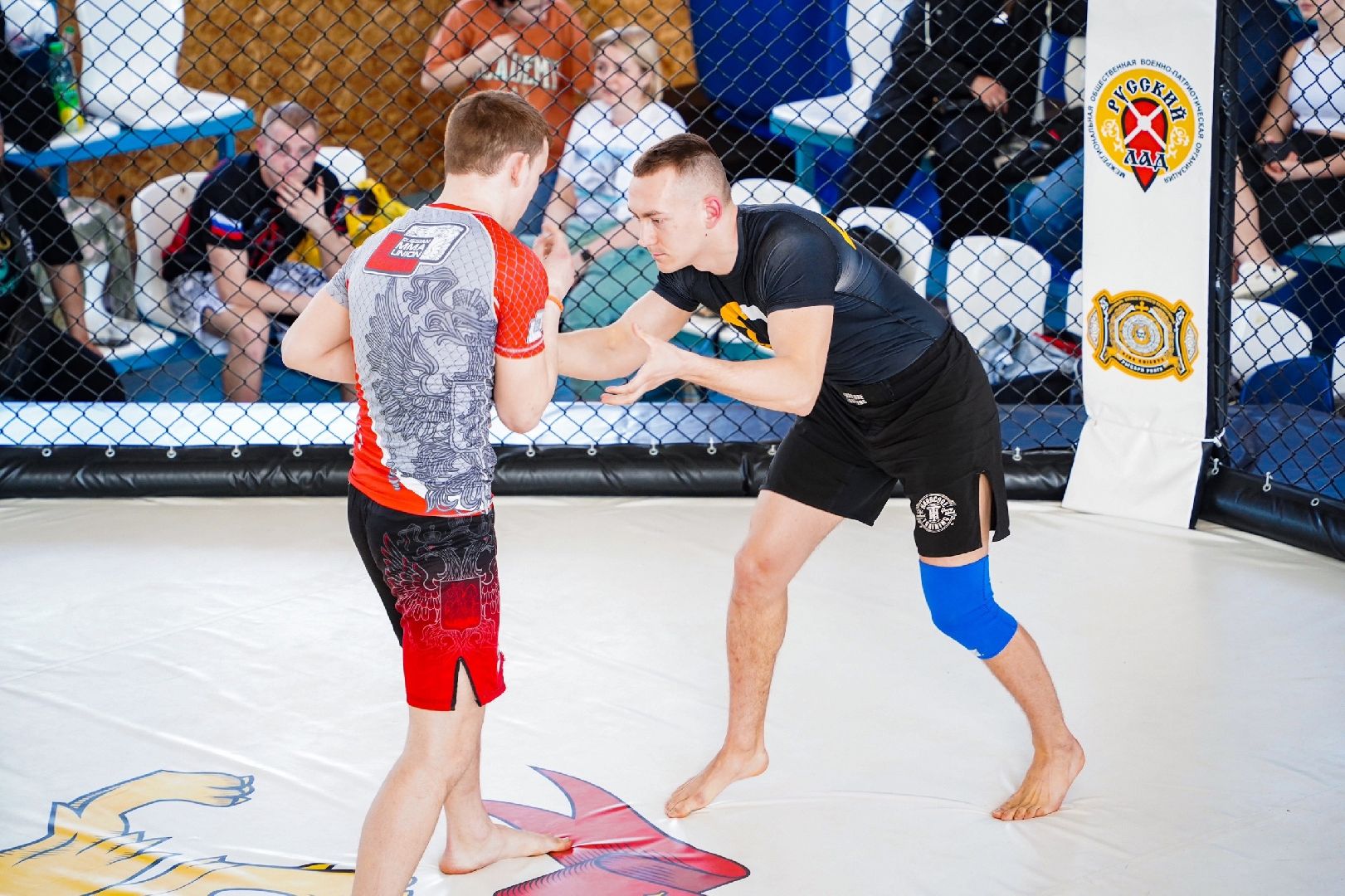 Рошаль, КБК Атаман, Большая Шатура, ММА, грэпплинг, турнир, Воймежская битва, Крестов брод, спортсмены,