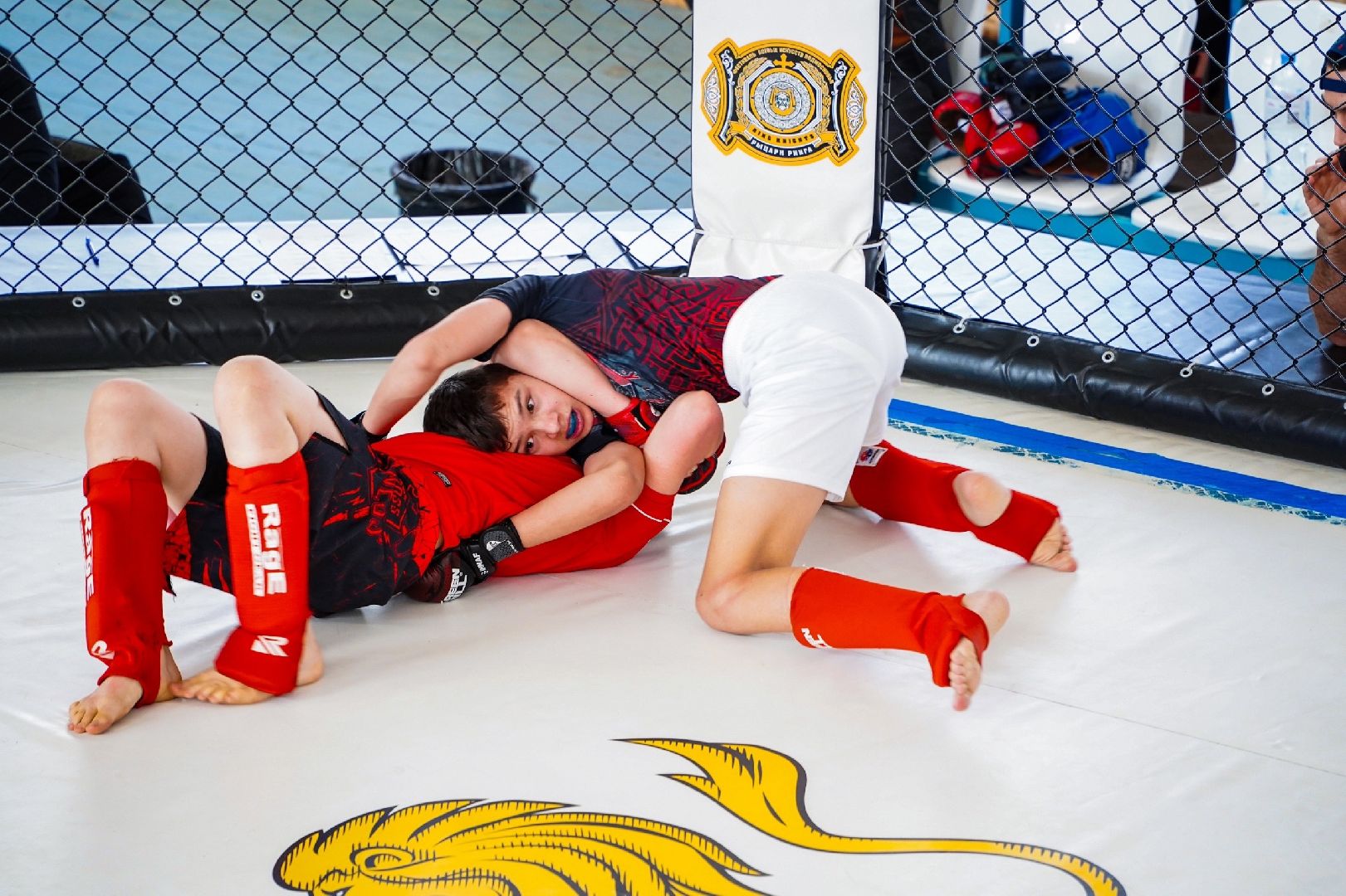 Рошаль, КБК Атаман, Большая Шатура, ММА, грэпплинг, турнир, Воймежская битва, Крестов брод, спортсмены,