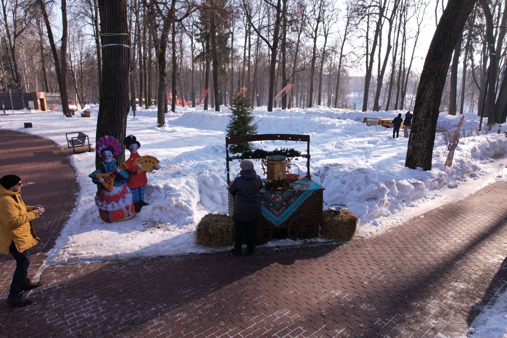 видео с коптера, парк, пруды,