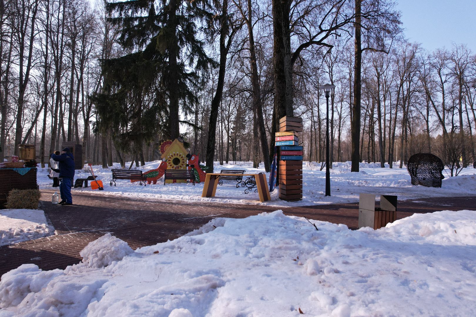 видео с коптера, парк, пруды,