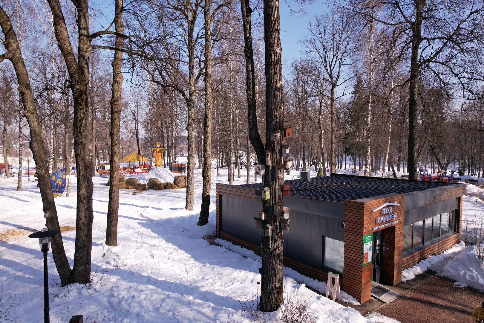 видео с коптера, парк, пруды,