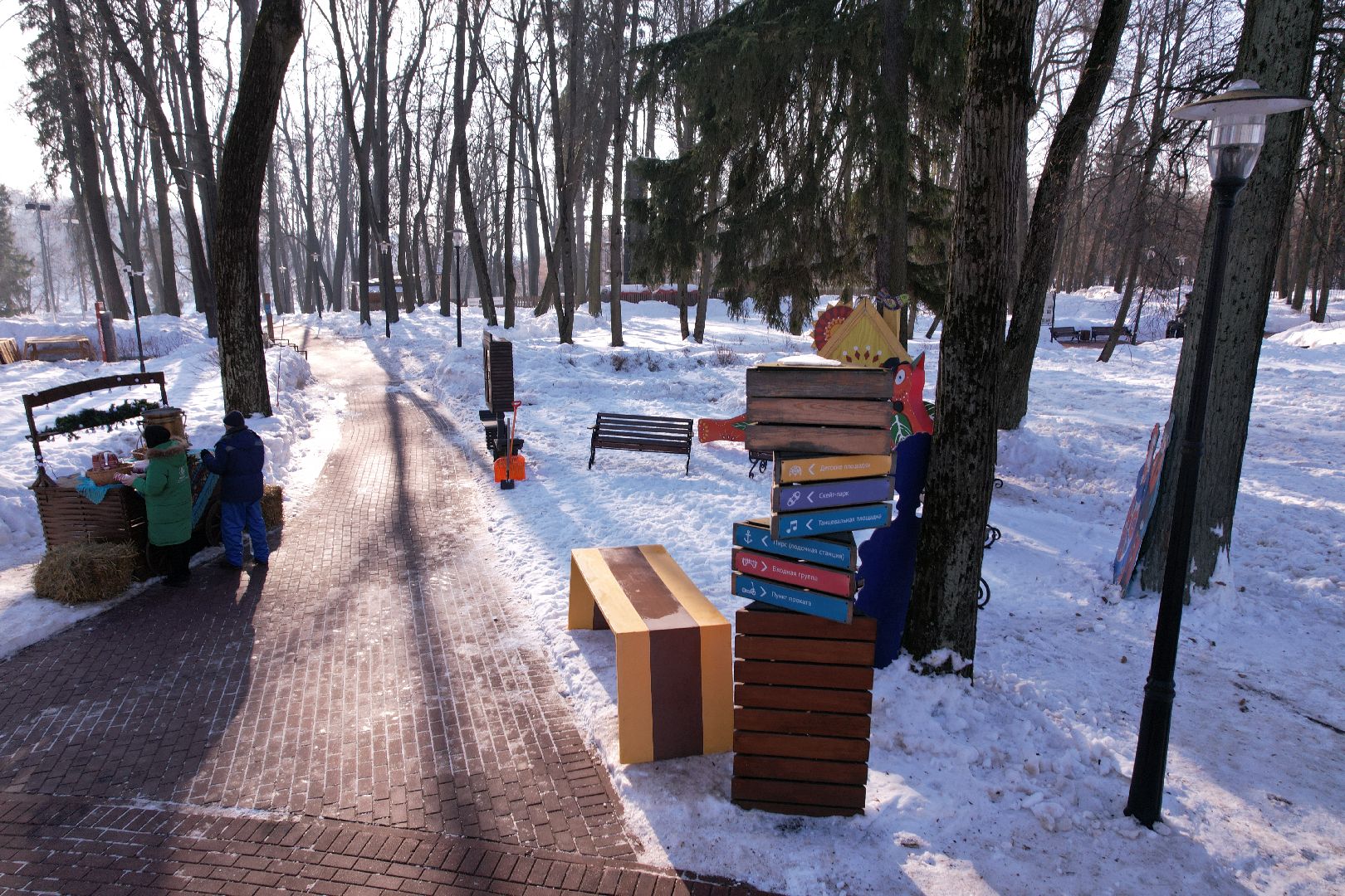 видео с коптера, парк, пруды,
