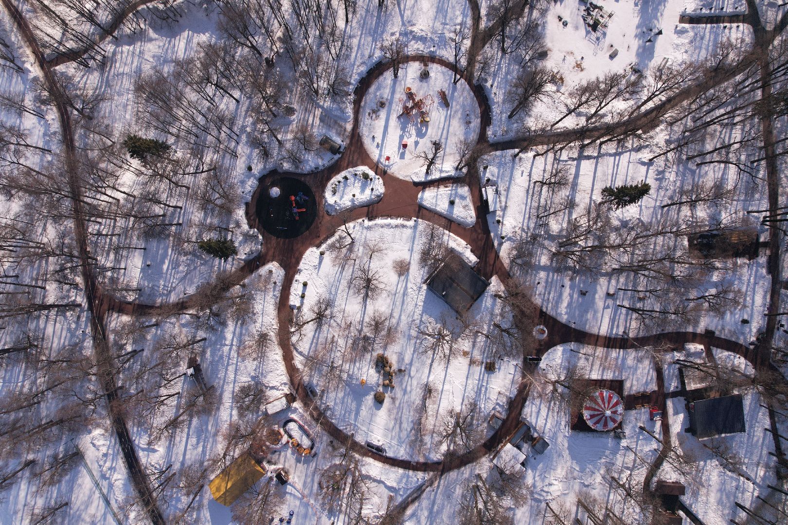 видео с коптера, парк, пруды,