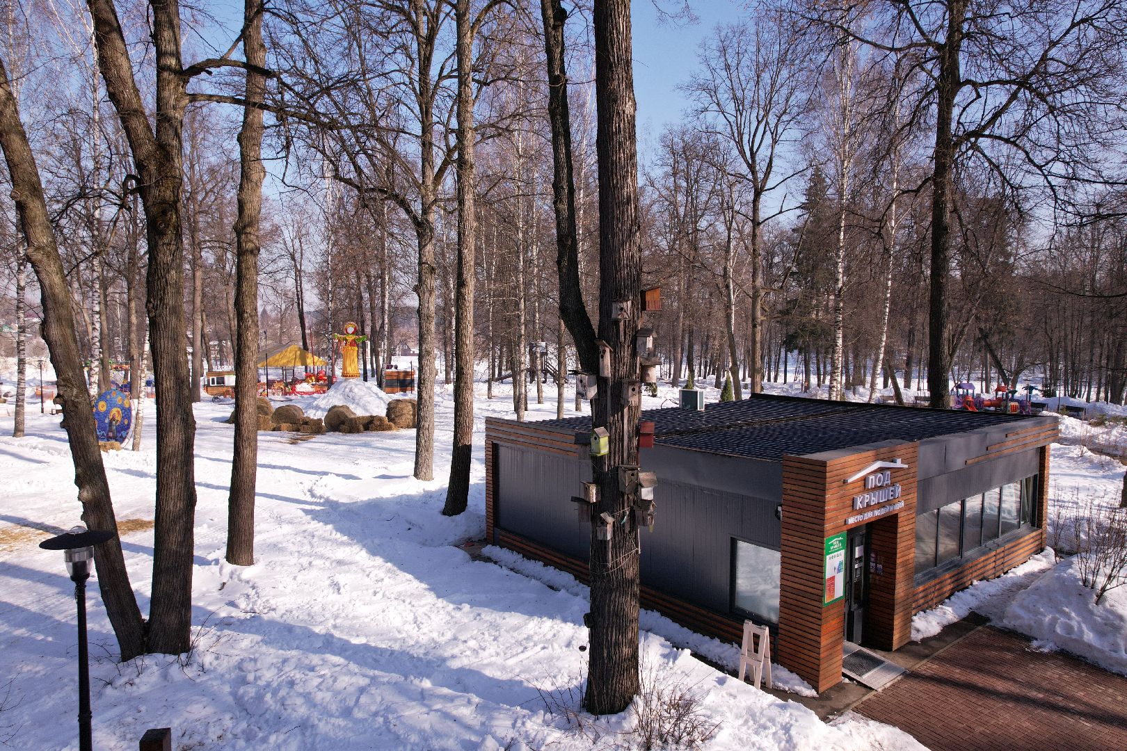 видео с коптера, парк, пруды,