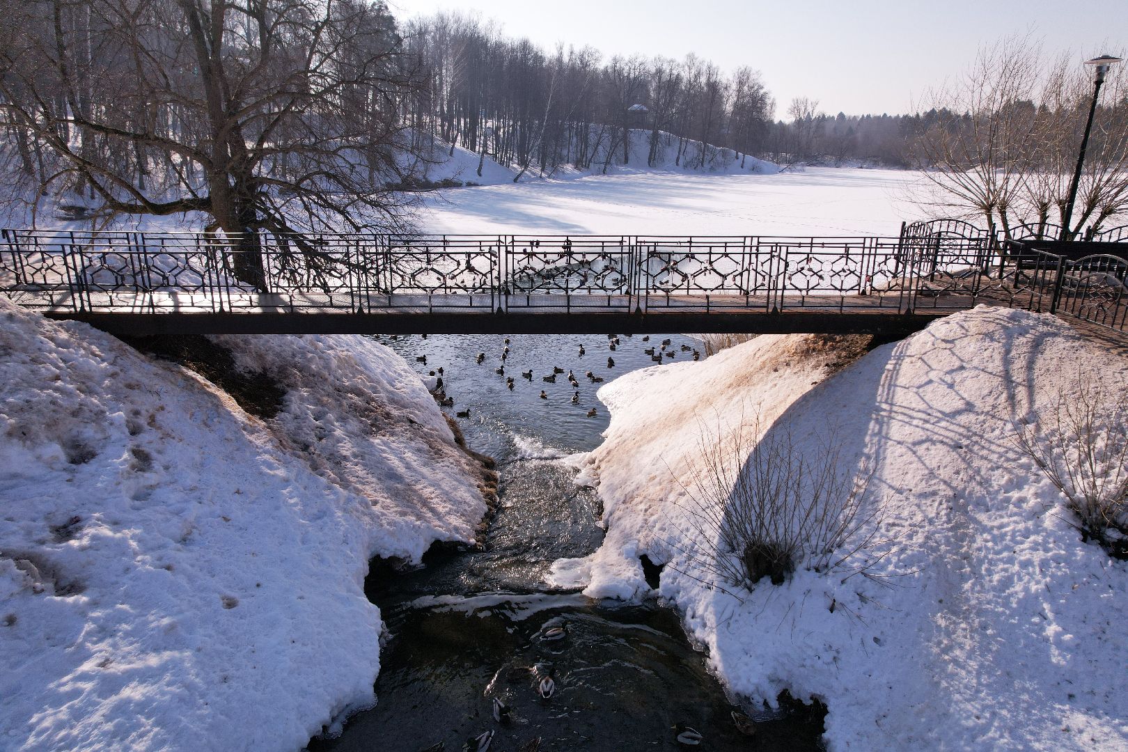 видео с коптера, парк, пруды,