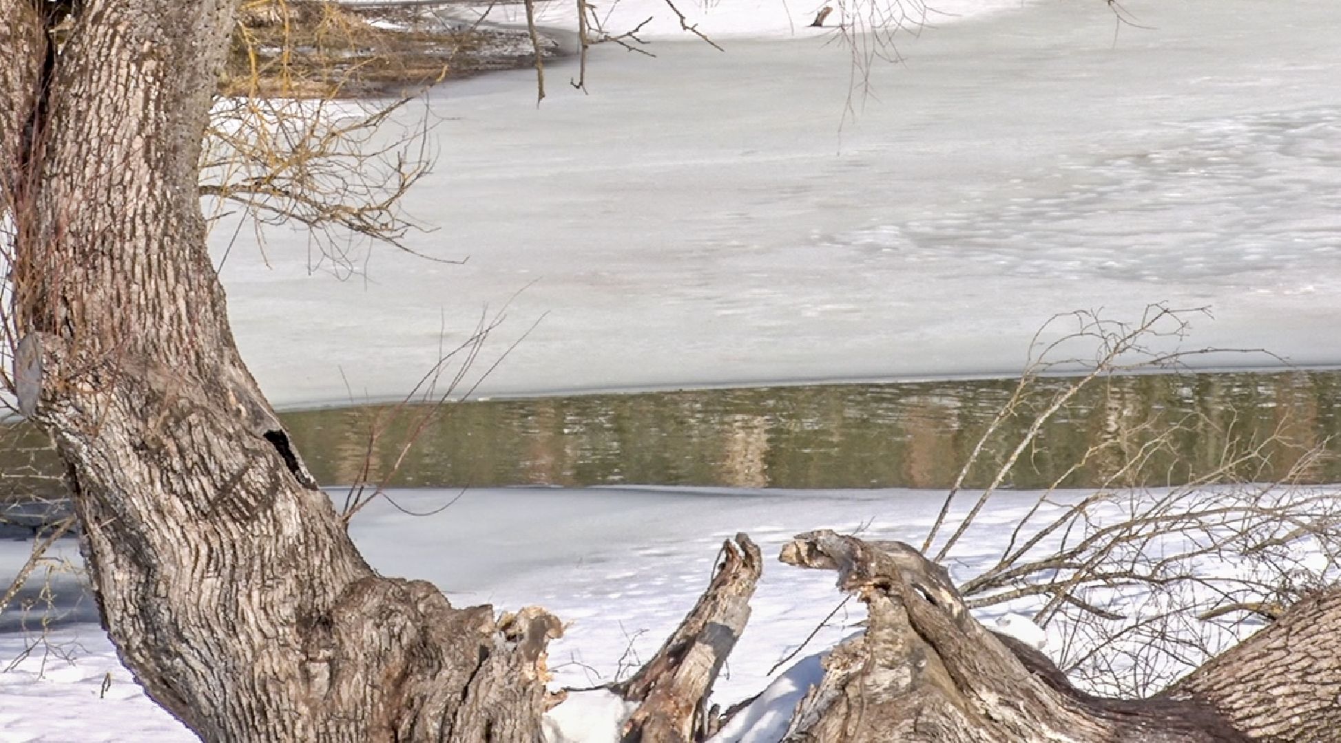 Клин, общество, благоустройство, ЖКХ,