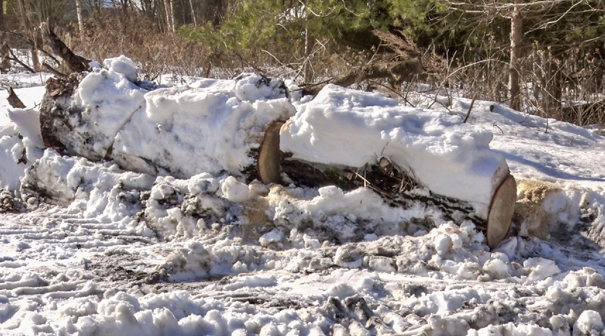 Клин, общество, благоустройство, ЖКХ,
