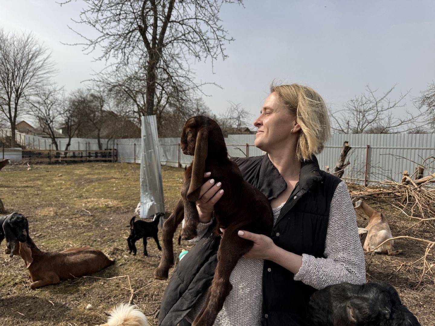 шаховская, фермер, козы, козлята,