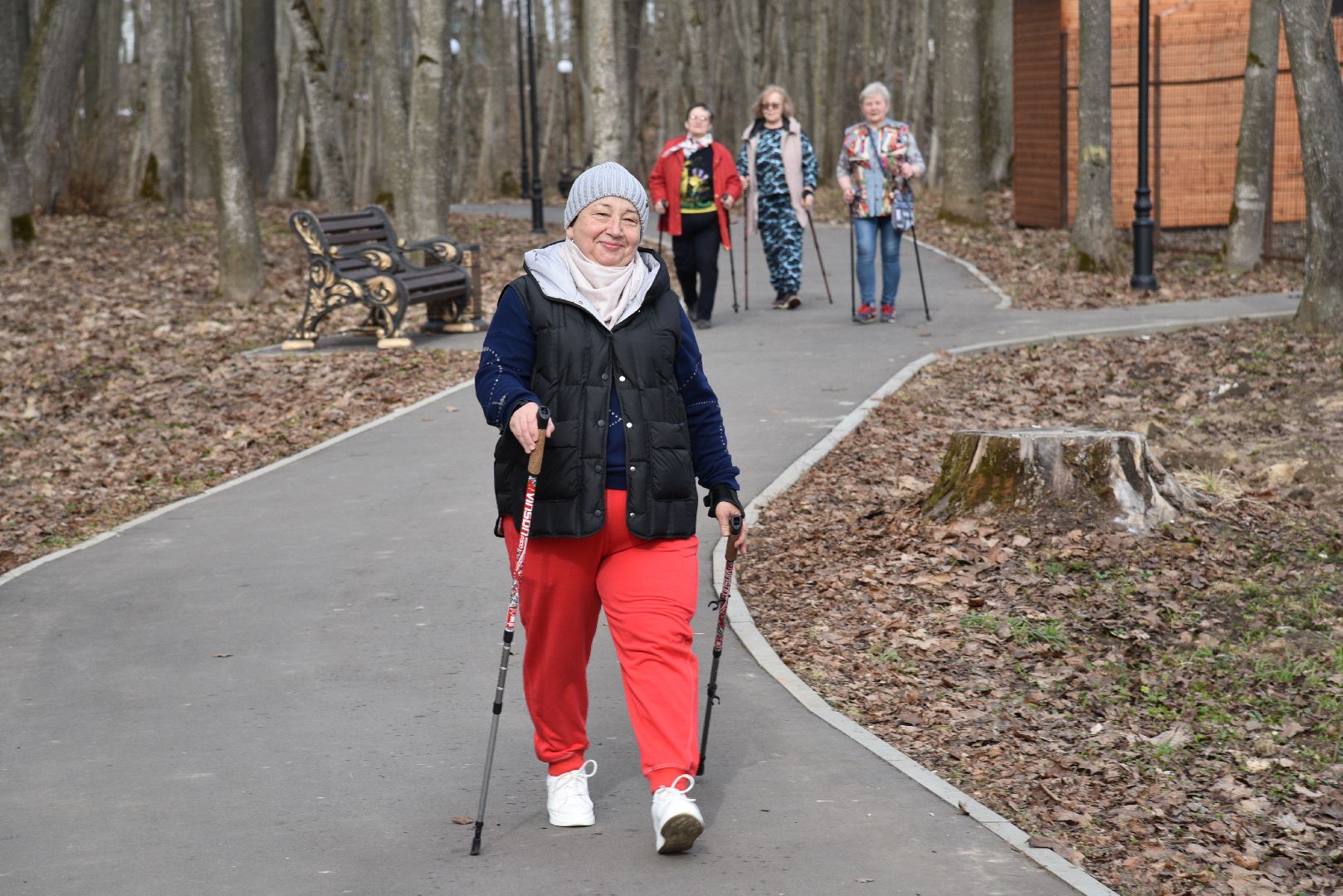 лотошино, лотошинский парк, активное долголетие, скандинавская ходьба,