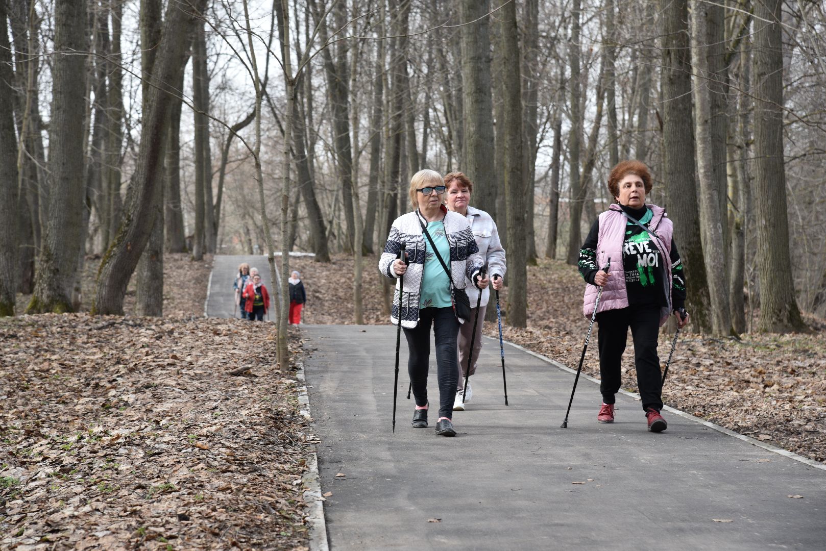 лотошино, лотошинский парк, активное долголетие, скандинавская ходьба,