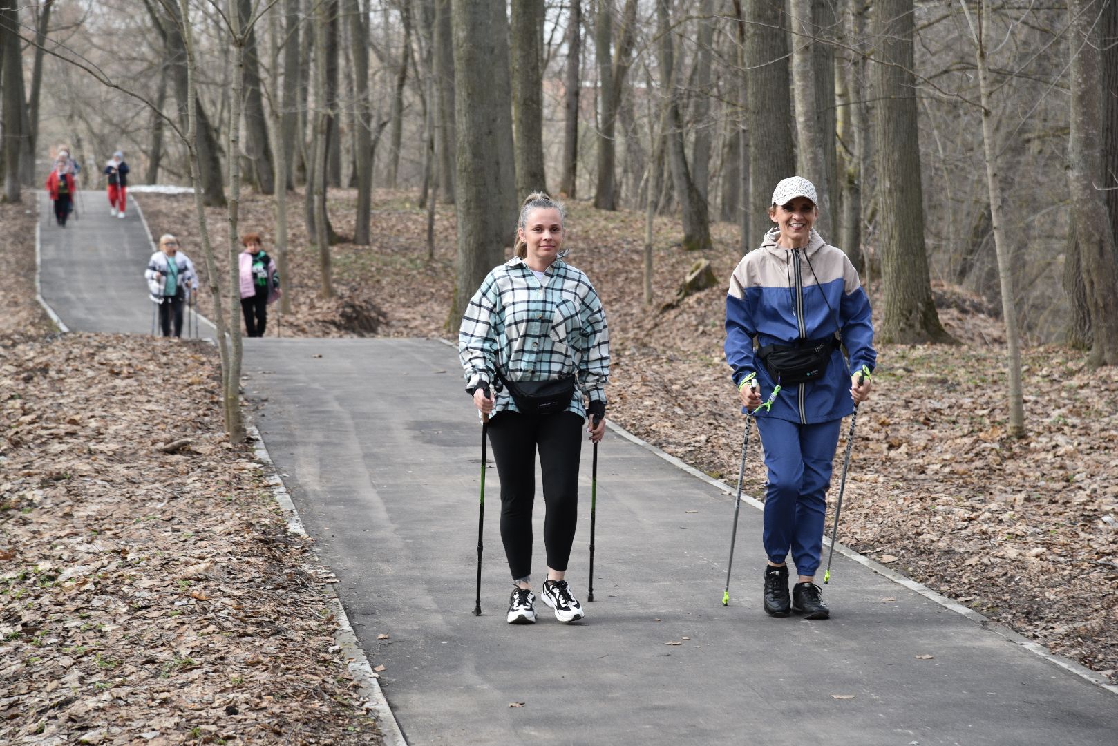 лотошино, лотошинский парк, активное долголетие, скандинавская ходьба,