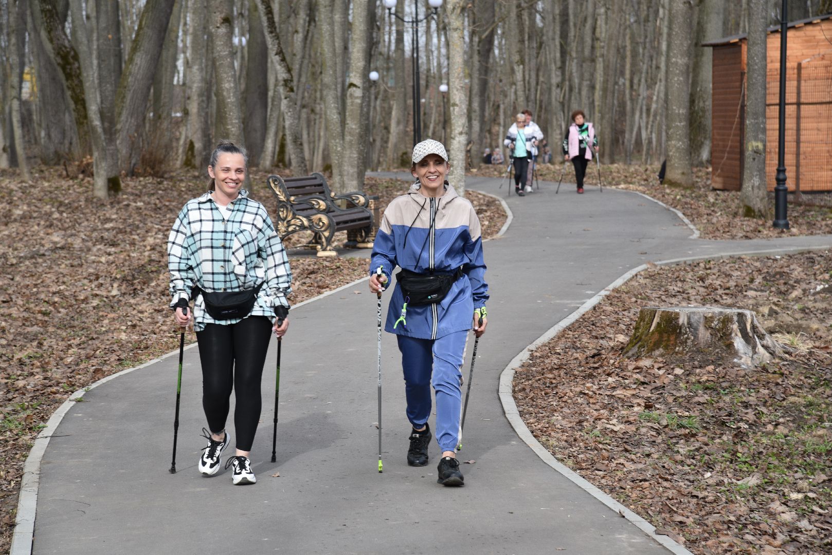 лотошино, лотошинский парк, активное долголетие, скандинавская ходьба,