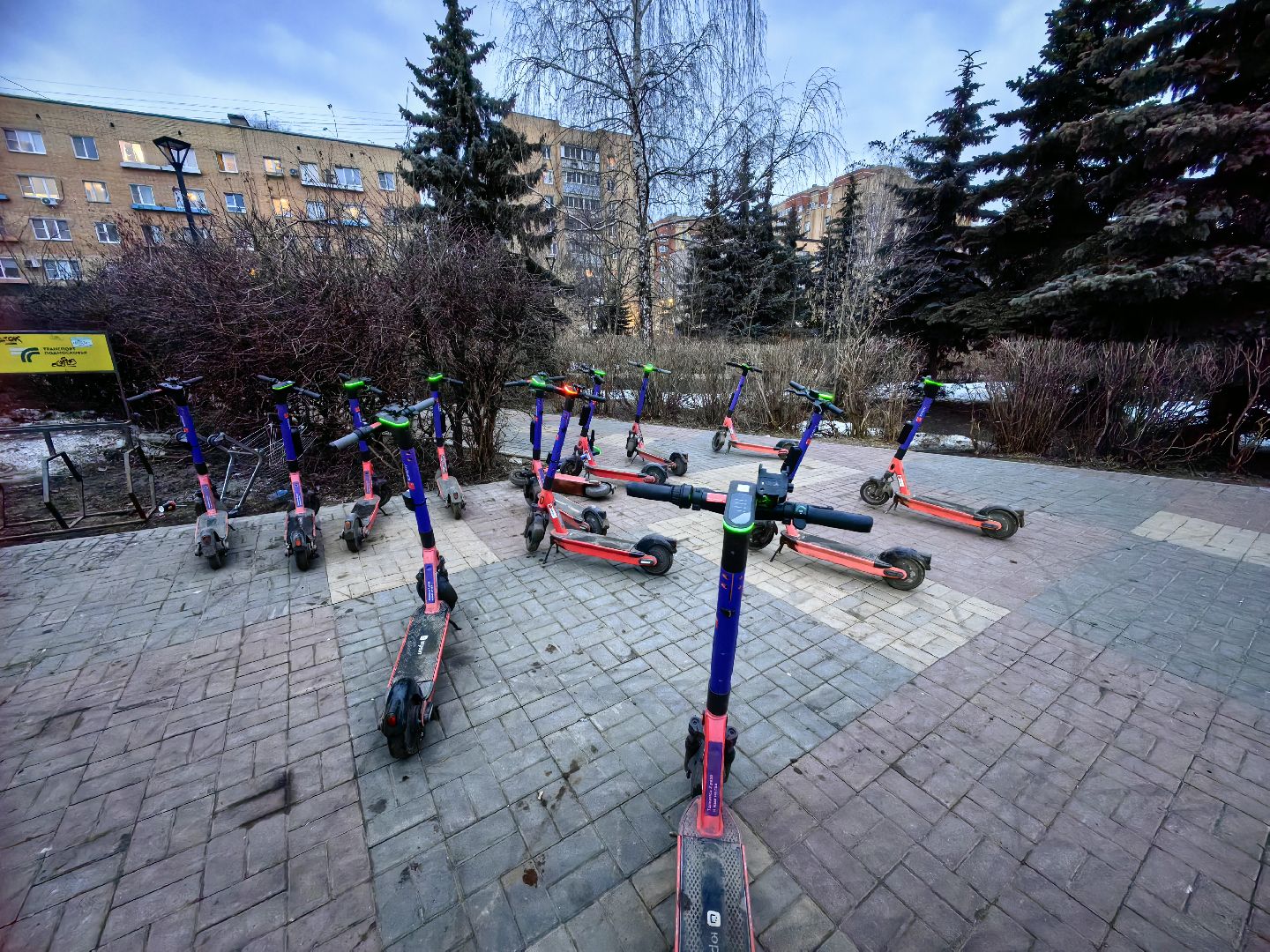 кикшеринг, самокат, велосипед, электросамокат, сезон,
