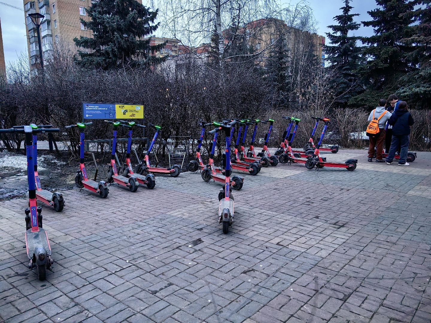 кикшеринг, самокат, велосипед, электросамокат, сезон,