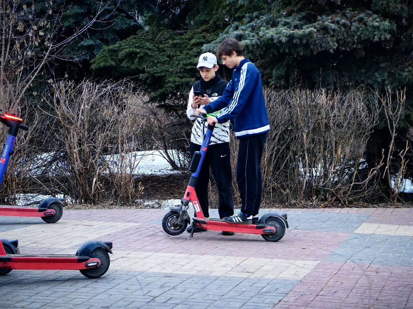 кикшеринг, самокат, велосипед, электросамокат, сезон,