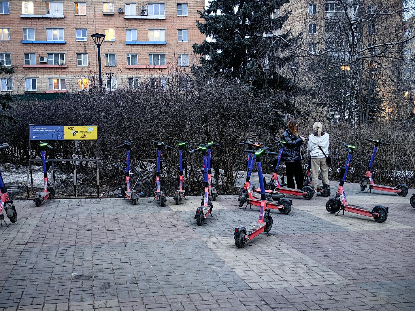 кикшеринг, самокат, велосипед, электросамокат, сезон,