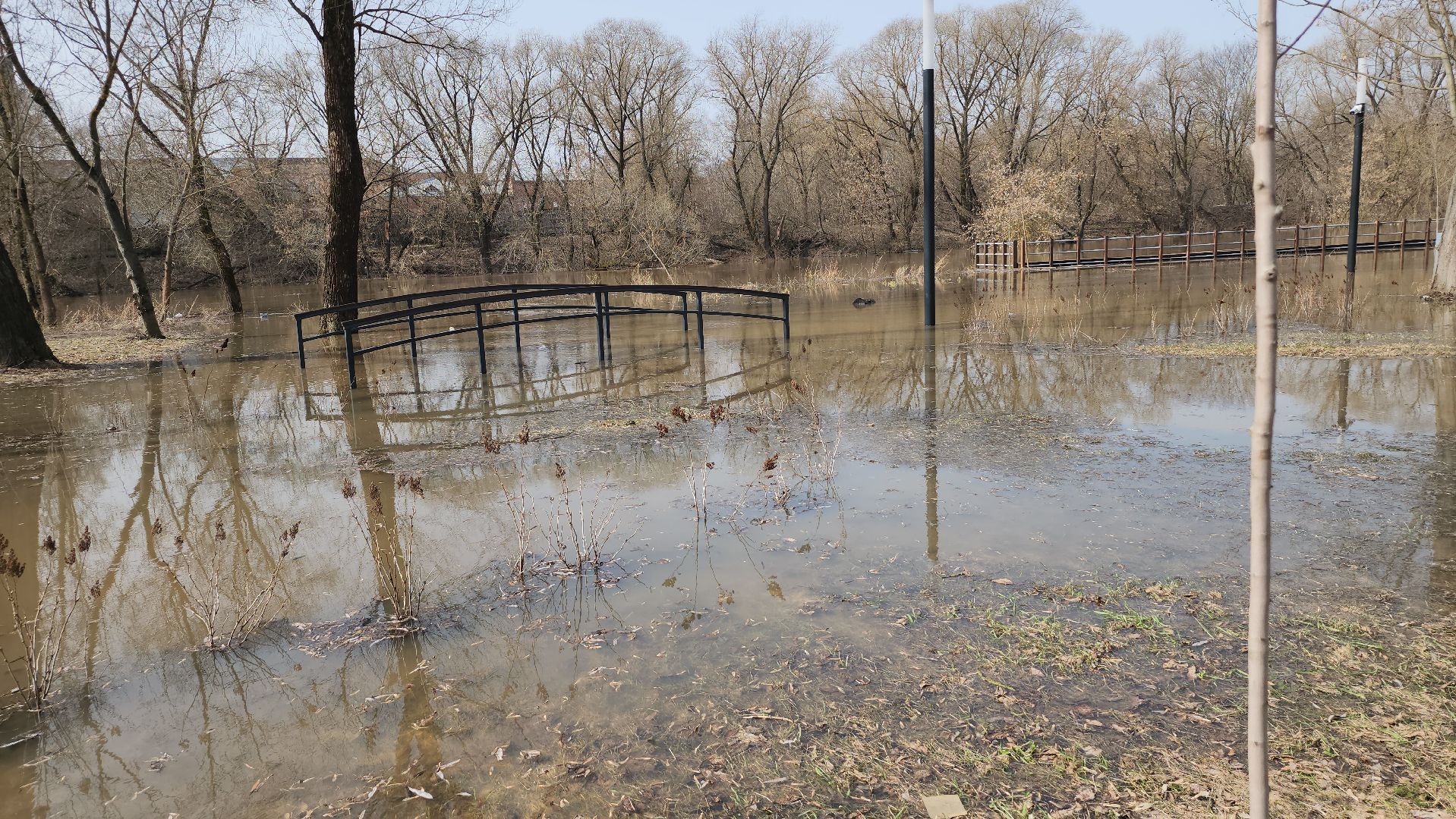серпухов, принарский парк, река нара, разлив, МАФы, подтопления,