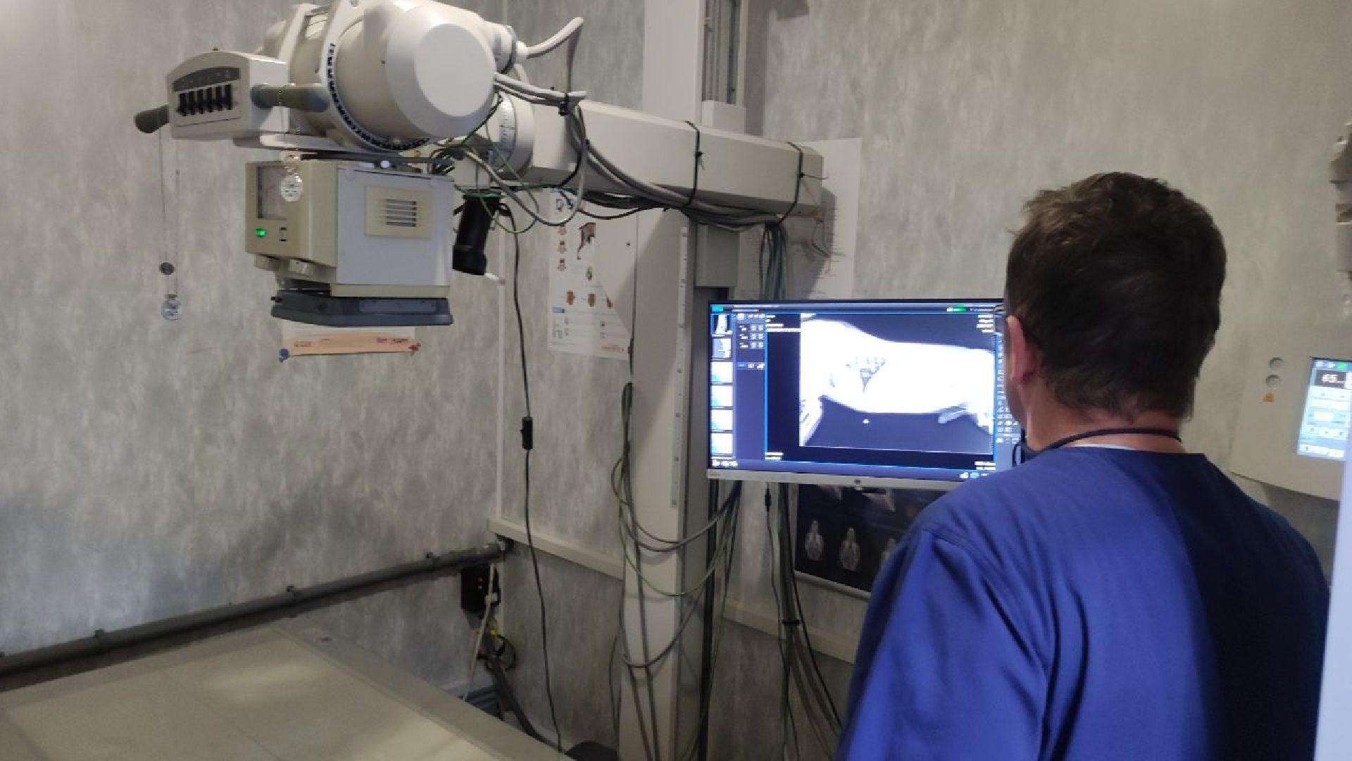 волоколамск, клещи,