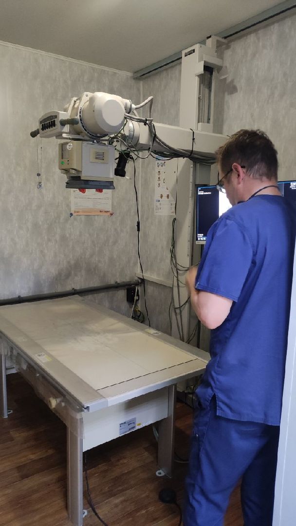 волоколамск, клещи,